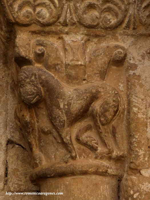 LEONES COMPARTIENDO CABEZA EN LA ESQUINA